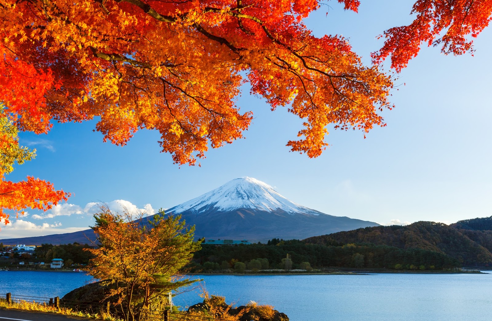 Nhật Bản 7N6D: Tokyo – Hakone – Núi phú sĩ- Nagoya – Kyoto – Osaka – Kobe