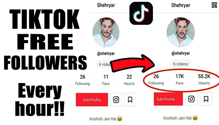 app tang follow tik tok