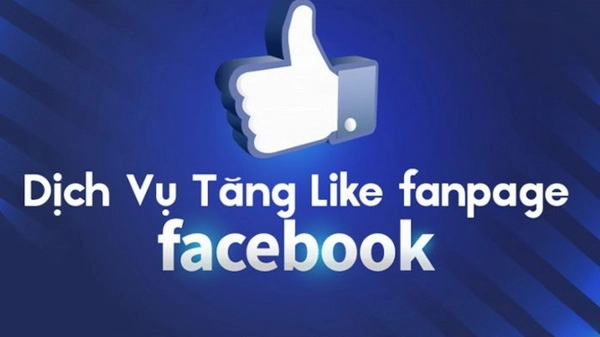 dich vu tang like fanpage facebook chat luong.webp