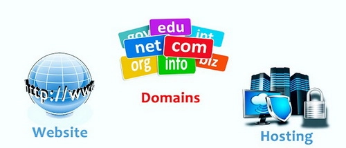 domain hosting va website khac nhau the nao.webp